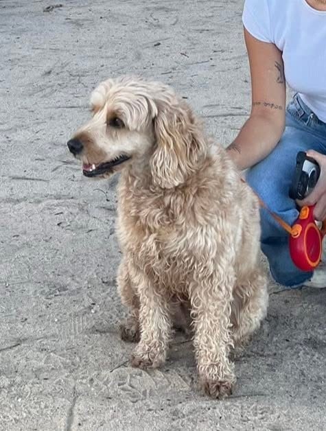 Bailey