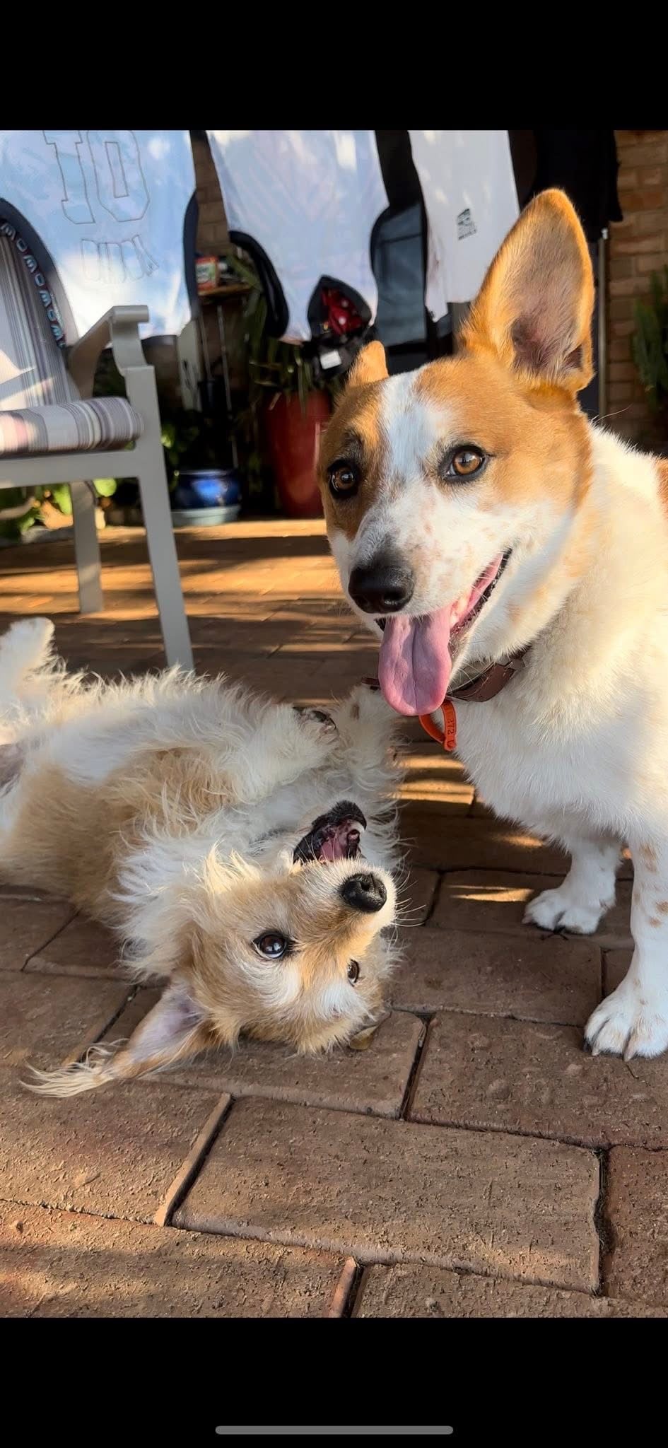 Rusty and Ruby